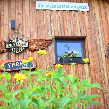 Lesny Zakatek Uroczysko -apartamenty Nowoczesnej Stodoly Apartman *