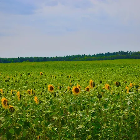 Апартаменты Lesny Zakatek Uroczysko -apartamenty Nowoczesnej Stodoly