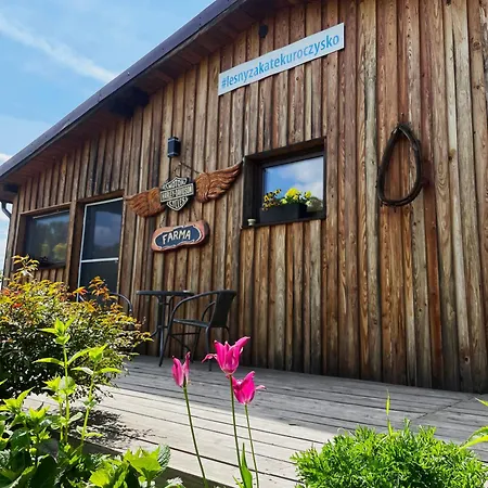 Lesny Zakatek Uroczysko -apartamenty Nowoczesnej Stodoly Апартаменты *