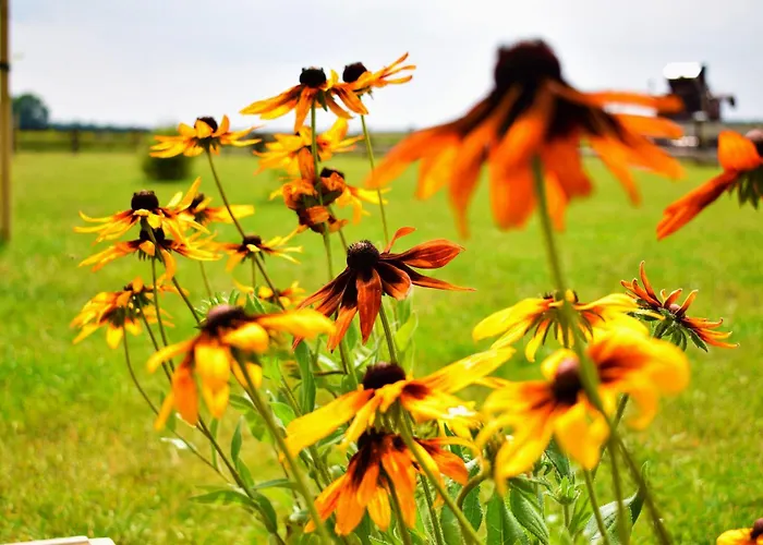 Lesny Zakatek Uroczysko -apartamenty Nowoczesnej Stodoly Апартаменты *