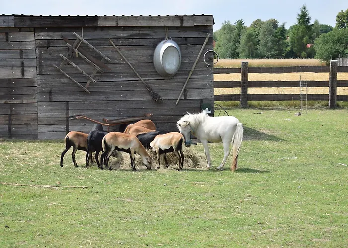 Lesny Zakatek Uroczysko -apartamenty Nowoczesnej Stodoly *