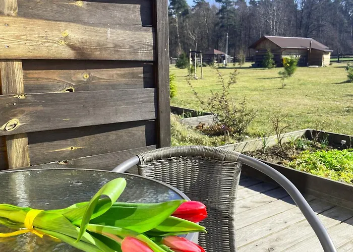 Апартаменты Lesny Zakatek Uroczysko -apartamenty Nowoczesnej Stodoly *