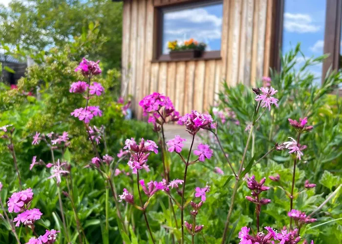Lesny Zakatek Uroczysko -apartamenty Nowoczesnej Stodoly